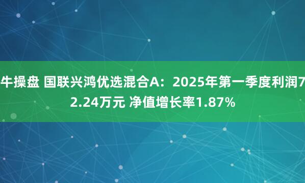 牛操盘 国联兴鸿优选混合A：2025年第一季度利润72.24万元 净值增长率1.87%