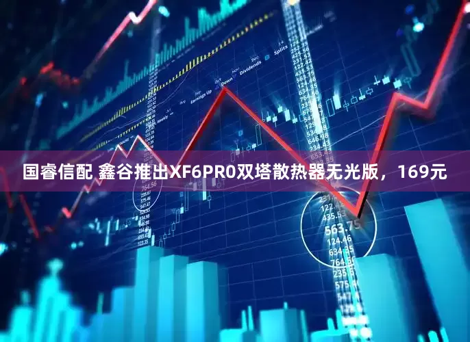 国睿信配 鑫谷推出XF6PR0双塔散热器无光版，169元